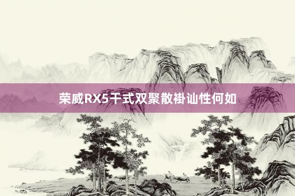 荣威RX5干式双聚散褂讪性何如