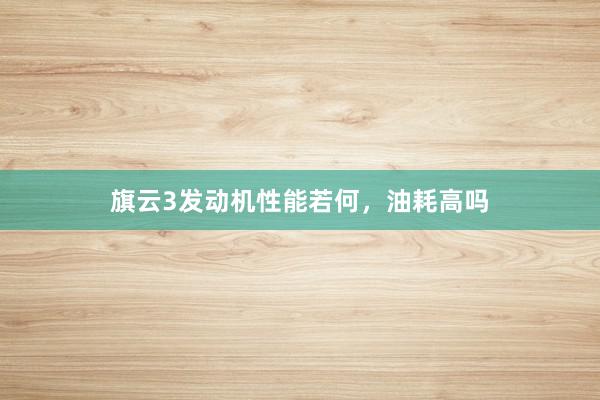 旗云3发动机性能若何，油耗高吗